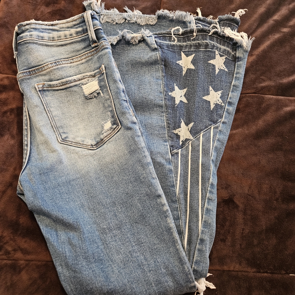 American Eagle Outfitters Blue Star Flare Jeans
